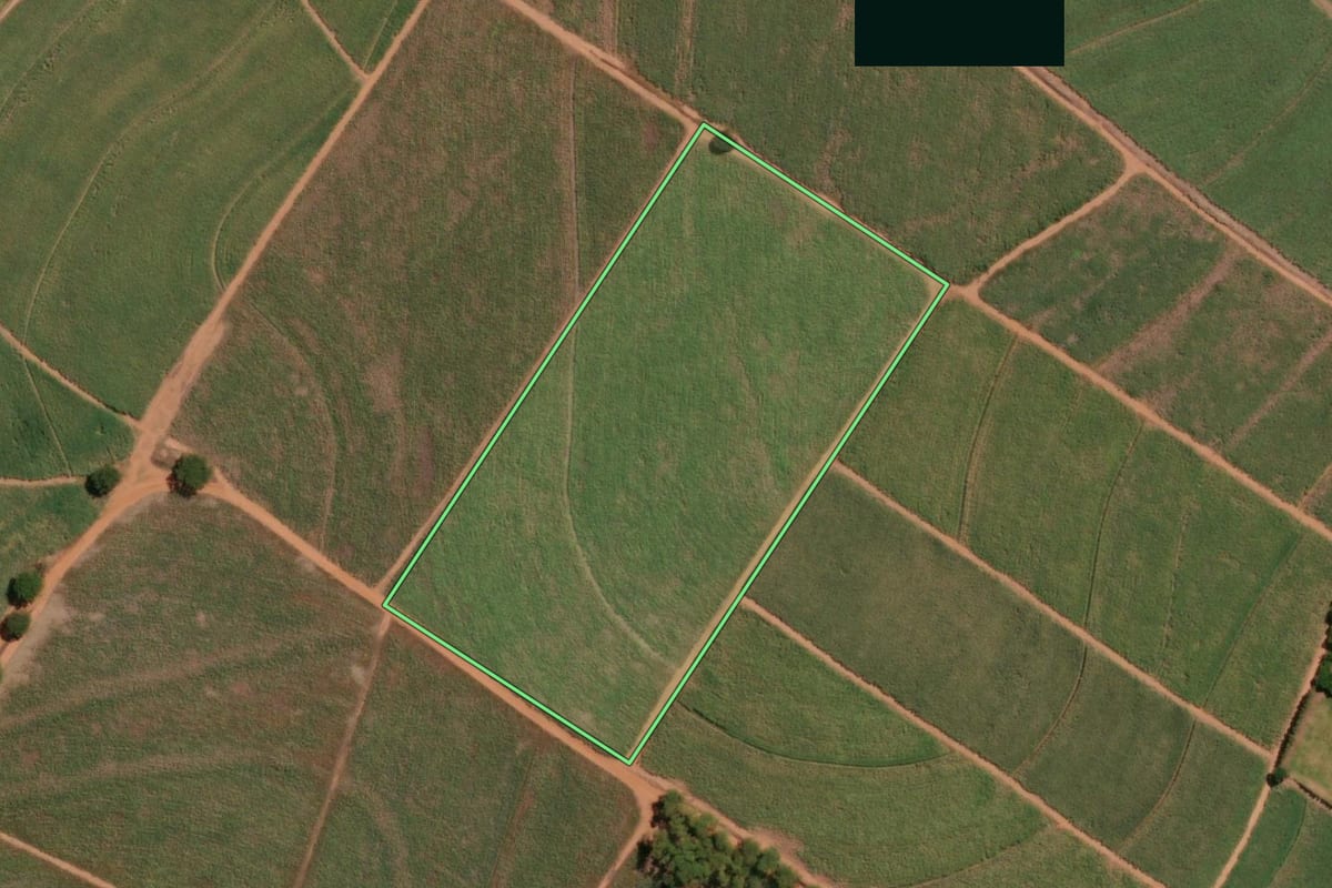 Imagem de satélite do imóvel rural em Santa Adélia (SP), com o contorno declarado no CAR desenhado por cima.