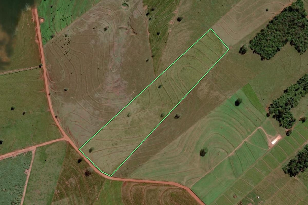 Imagem de satélite do imóvel rural em Santa Albertina (SP), com o contorno declarado no CAR desenhado por cima.