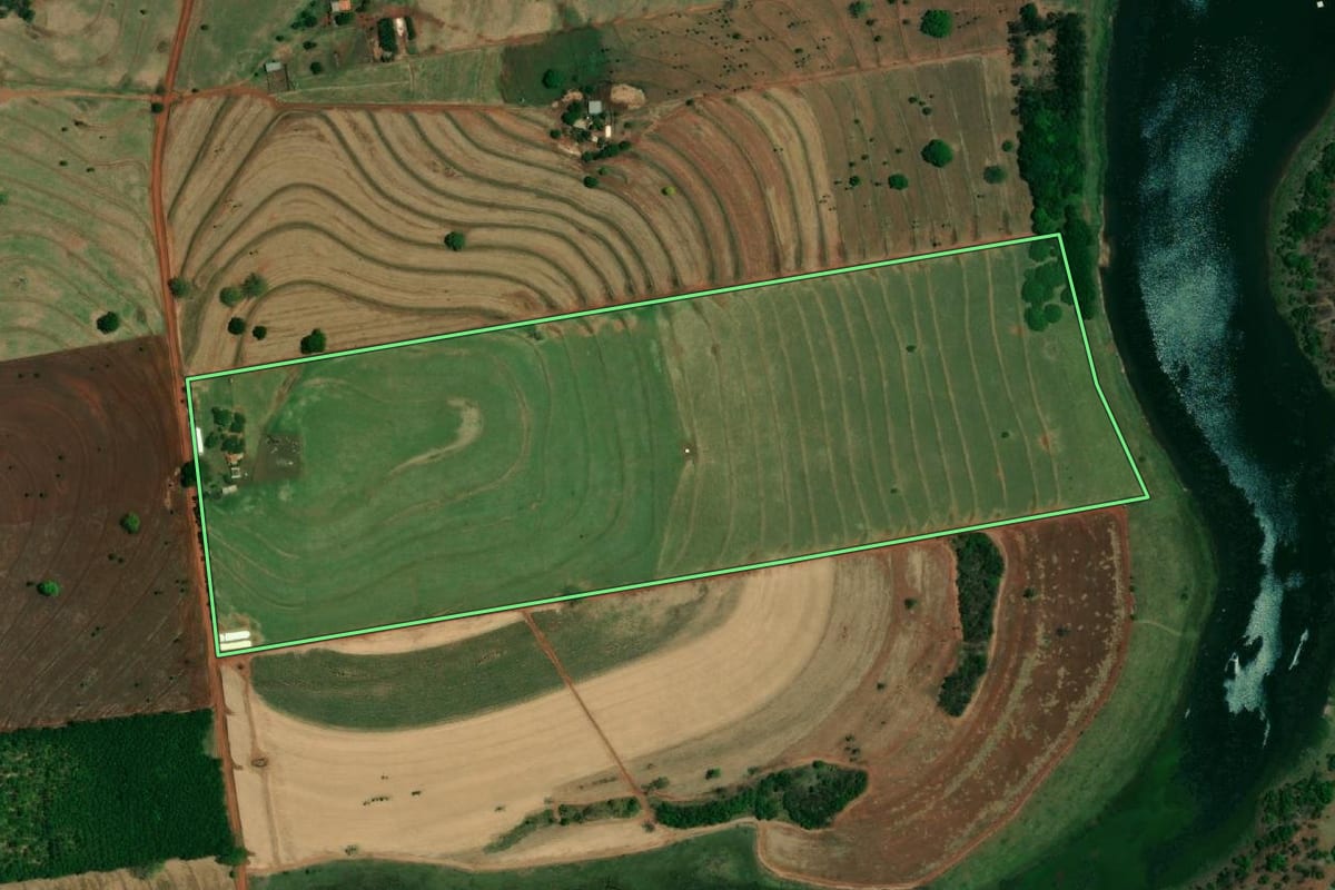 Imagem de satélite do imóvel rural em Santa Albertina (SP), com o contorno declarado no CAR desenhado por cima.