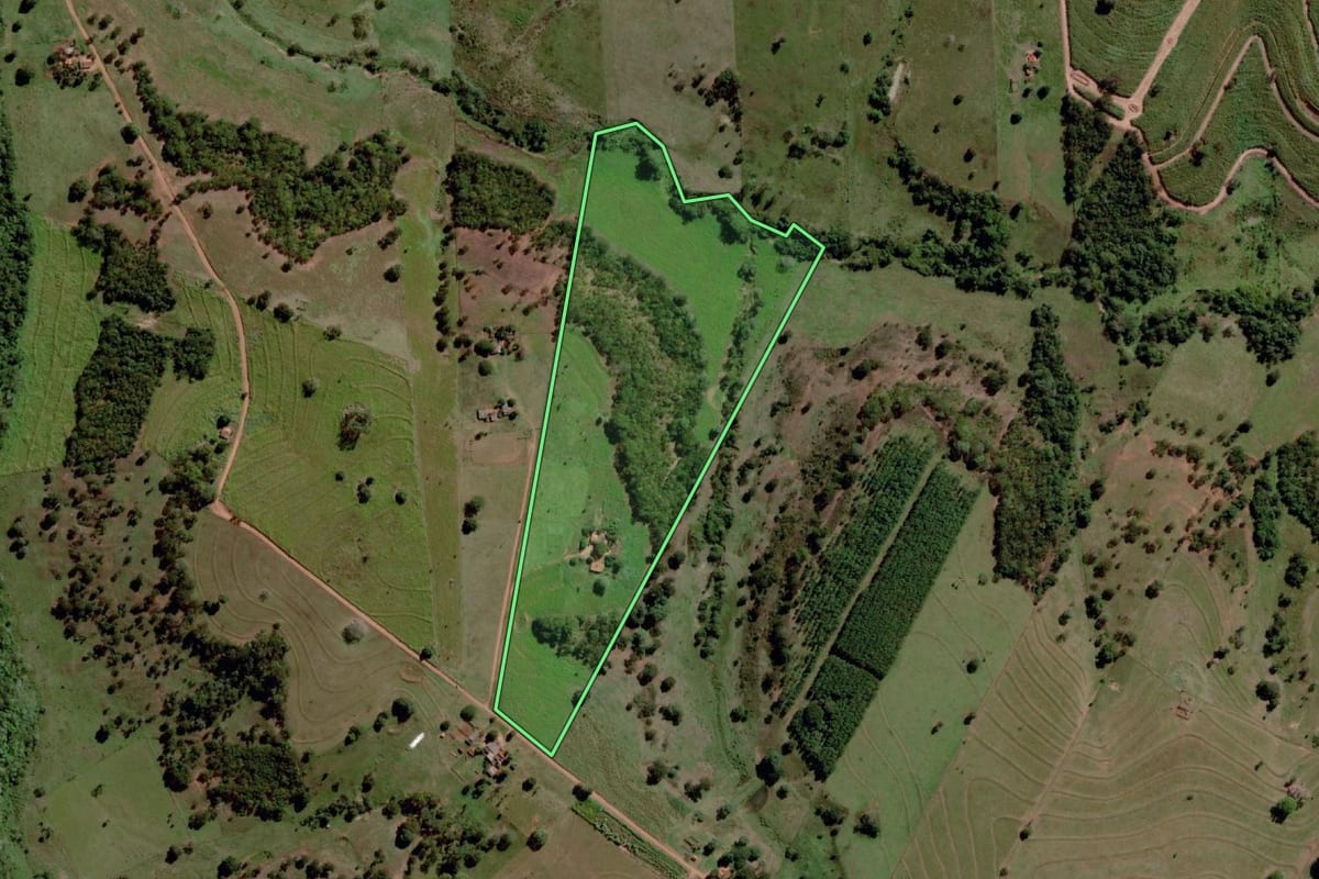 Imagem de satélite do imóvel rural em Santa Albertina (SP), com o contorno declarado no CAR desenhado por cima.