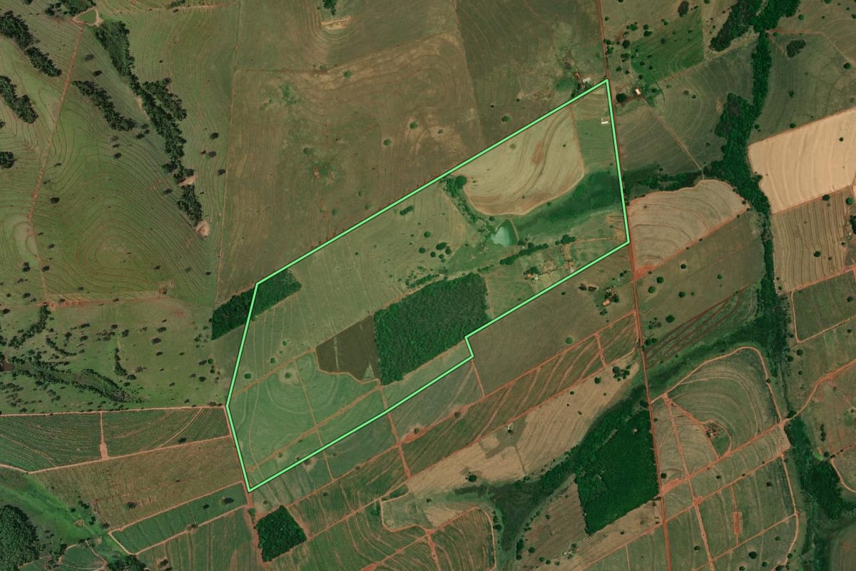 Imagem de satélite do imóvel rural em Santa Albertina (SP), com o contorno declarado no CAR desenhado por cima.