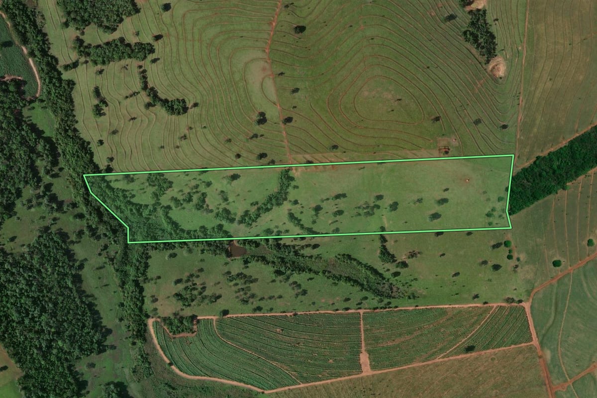 Imagem de satélite do imóvel rural em Santa Albertina (SP), com o contorno declarado no CAR desenhado por cima.
