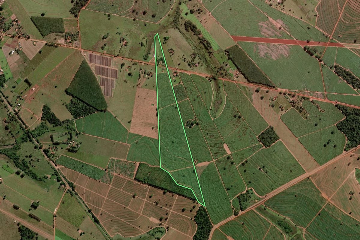 Imagem de satélite do imóvel rural em Santa Albertina (SP), com o contorno declarado no CAR desenhado por cima.