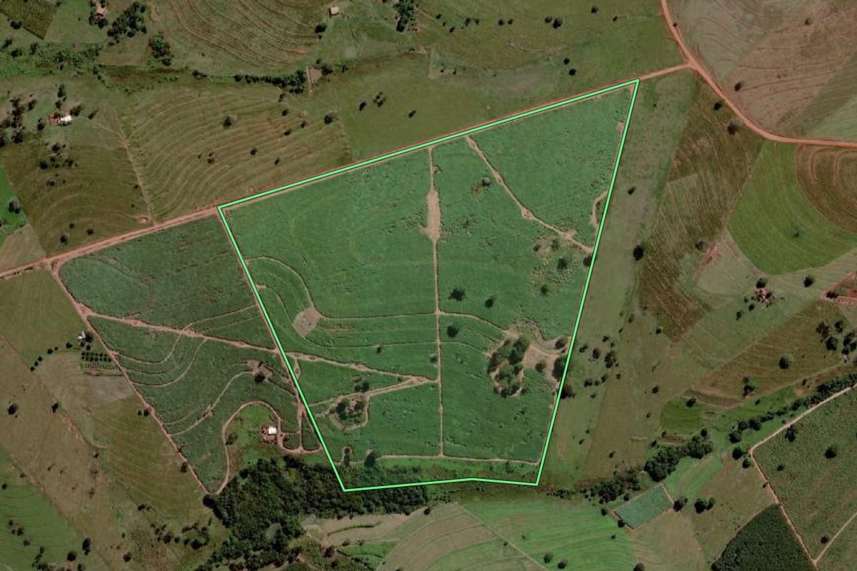 Imagem de satélite do imóvel rural em Santa Albertina (SP), com o contorno declarado no CAR desenhado por cima.