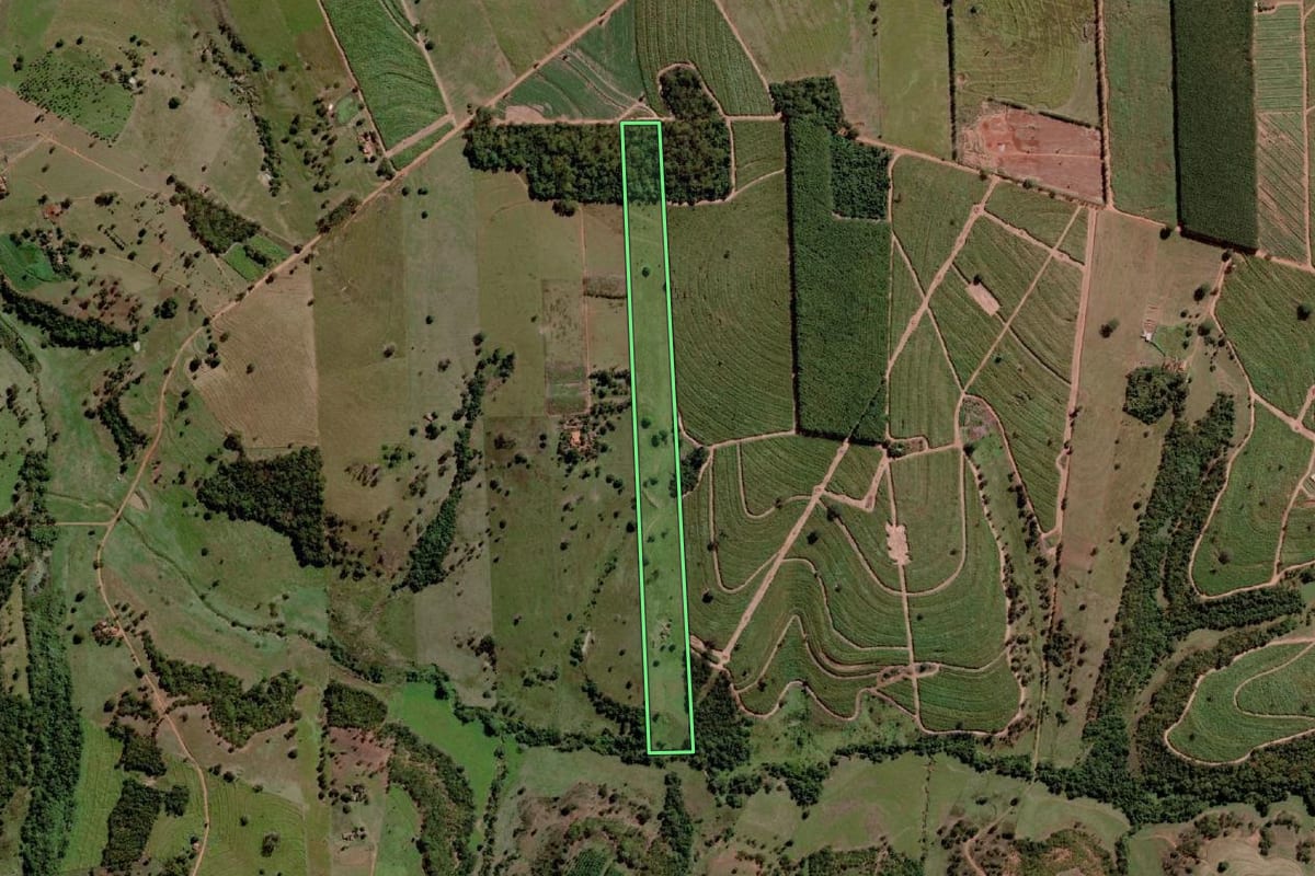 Imagem de satélite do imóvel rural em Santa Albertina (SP), com o contorno declarado no CAR desenhado por cima.