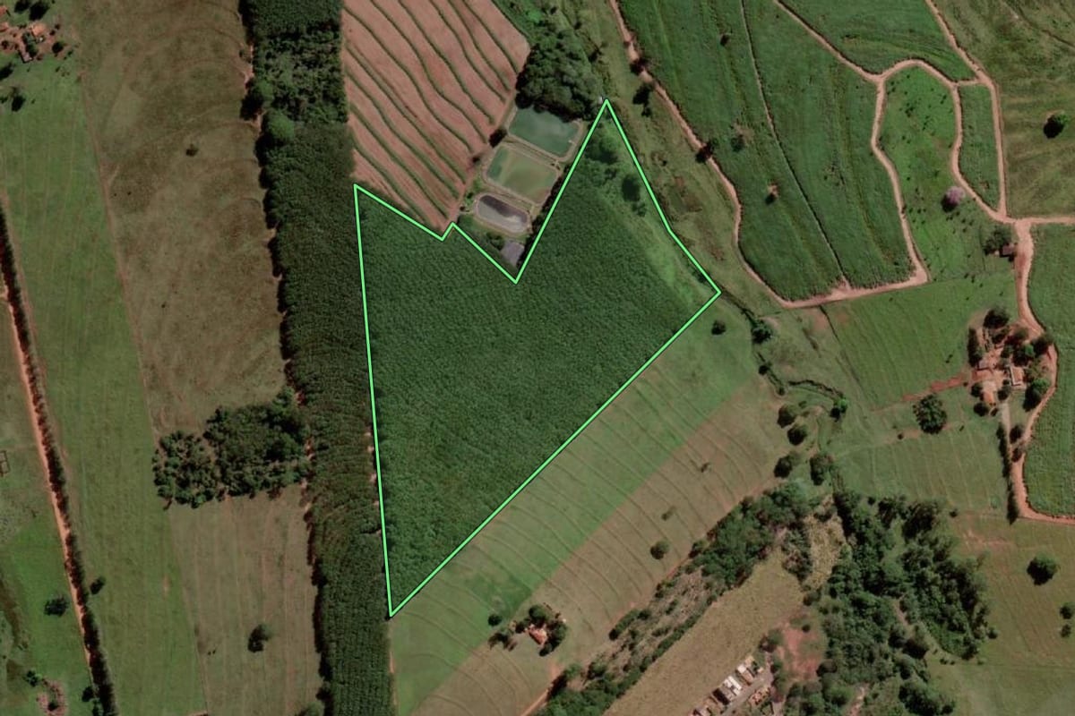 Imagem de satélite do imóvel rural em Santa Albertina (SP), com o contorno declarado no CAR desenhado por cima.