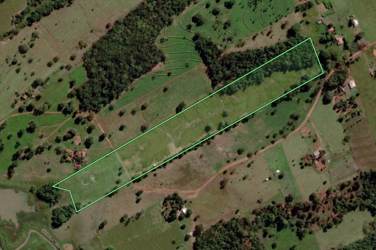 Imagem de satélite do imóvel rural em Santa Albertina (SP), com o contorno declarado no CAR desenhado por cima.