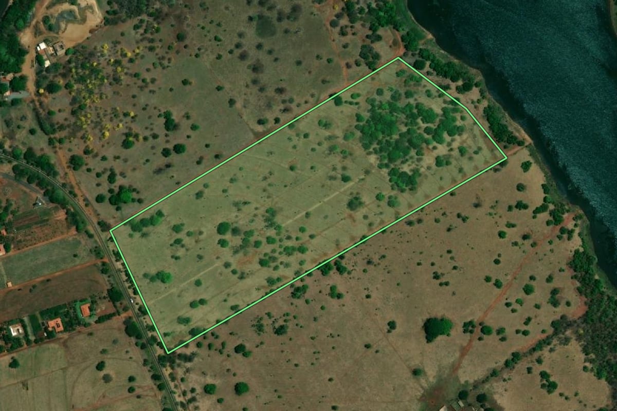 Imagem de satélite do imóvel rural em Santa Albertina (SP), com o contorno declarado no CAR desenhado por cima.