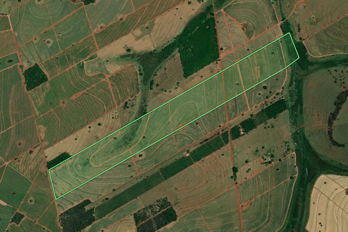 Imagem de satélite do imóvel rural em Santa Albertina (SP), com o contorno declarado no CAR desenhado por cima.