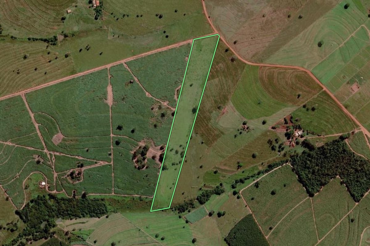 Imagem de satélite do imóvel rural em Santa Albertina (SP), com o contorno declarado no CAR desenhado por cima.