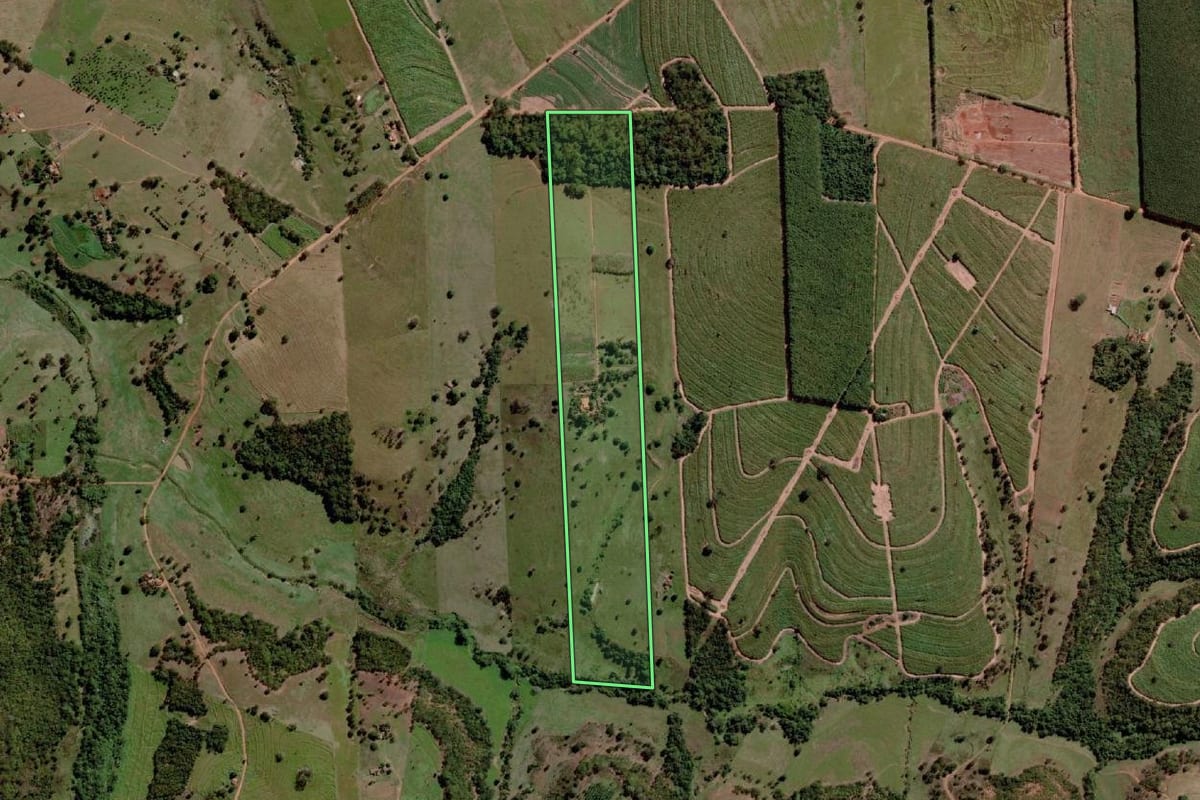 Imagem de satélite do imóvel rural em Santa Albertina (SP), com o contorno declarado no CAR desenhado por cima.