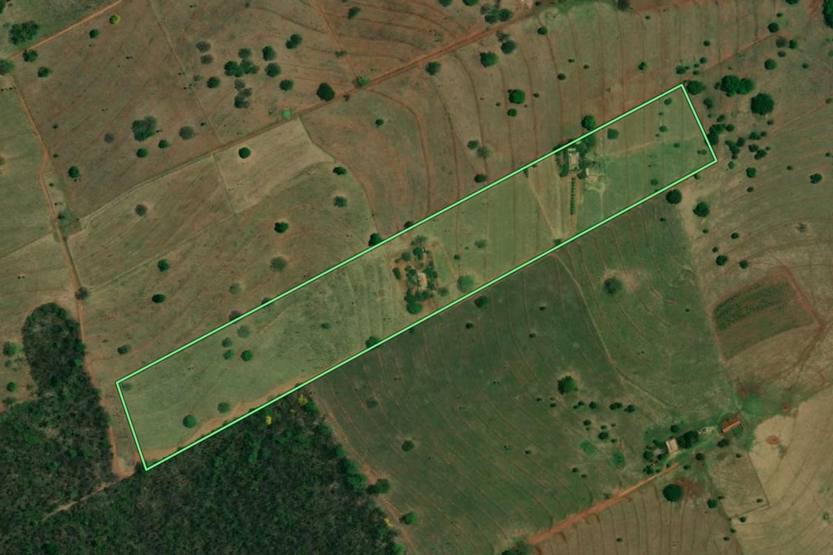 Imagem de satélite do imóvel rural em Santa Albertina (SP), com o contorno declarado no CAR desenhado por cima.