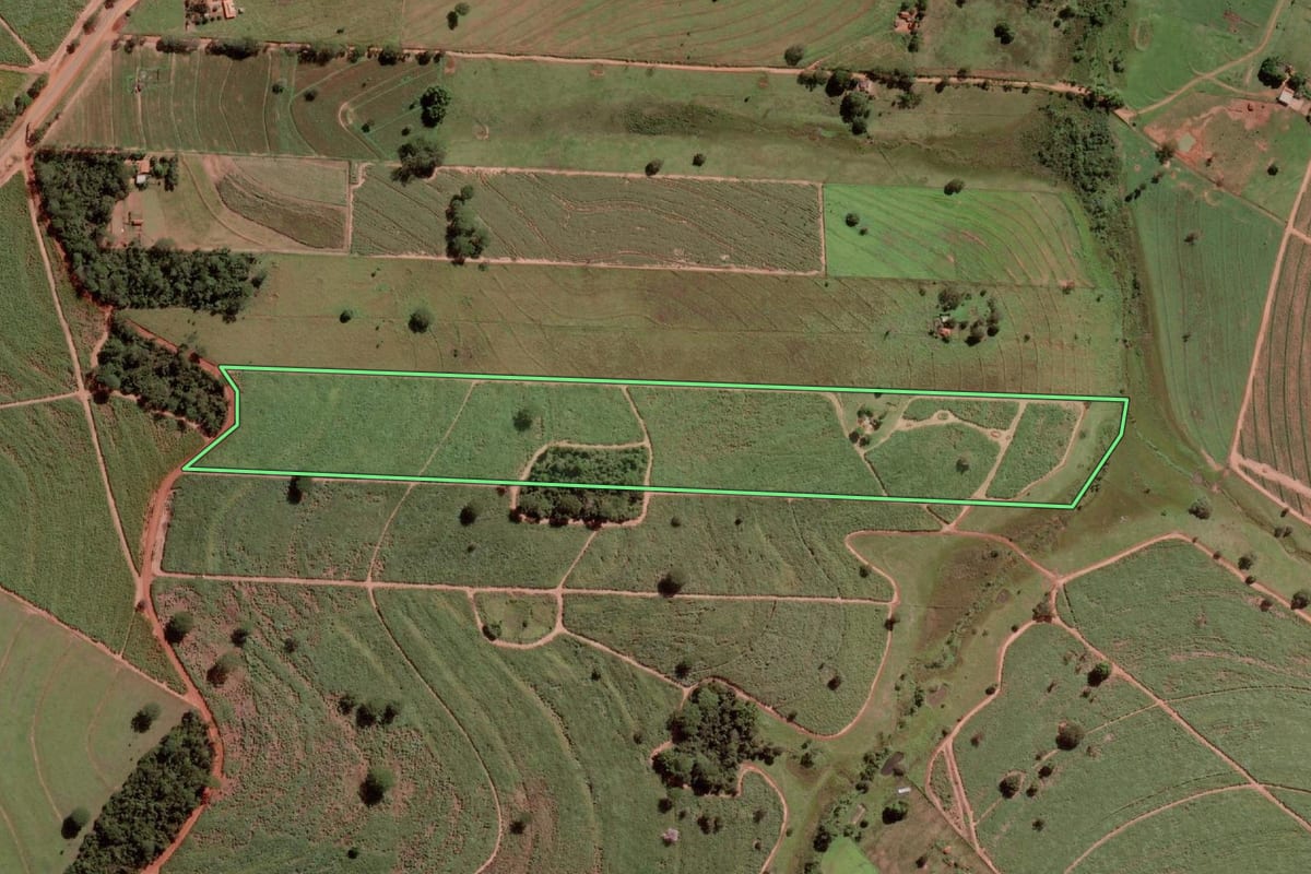 Imagem de satélite do imóvel rural em Santa Albertina (SP), com o contorno declarado no CAR desenhado por cima.