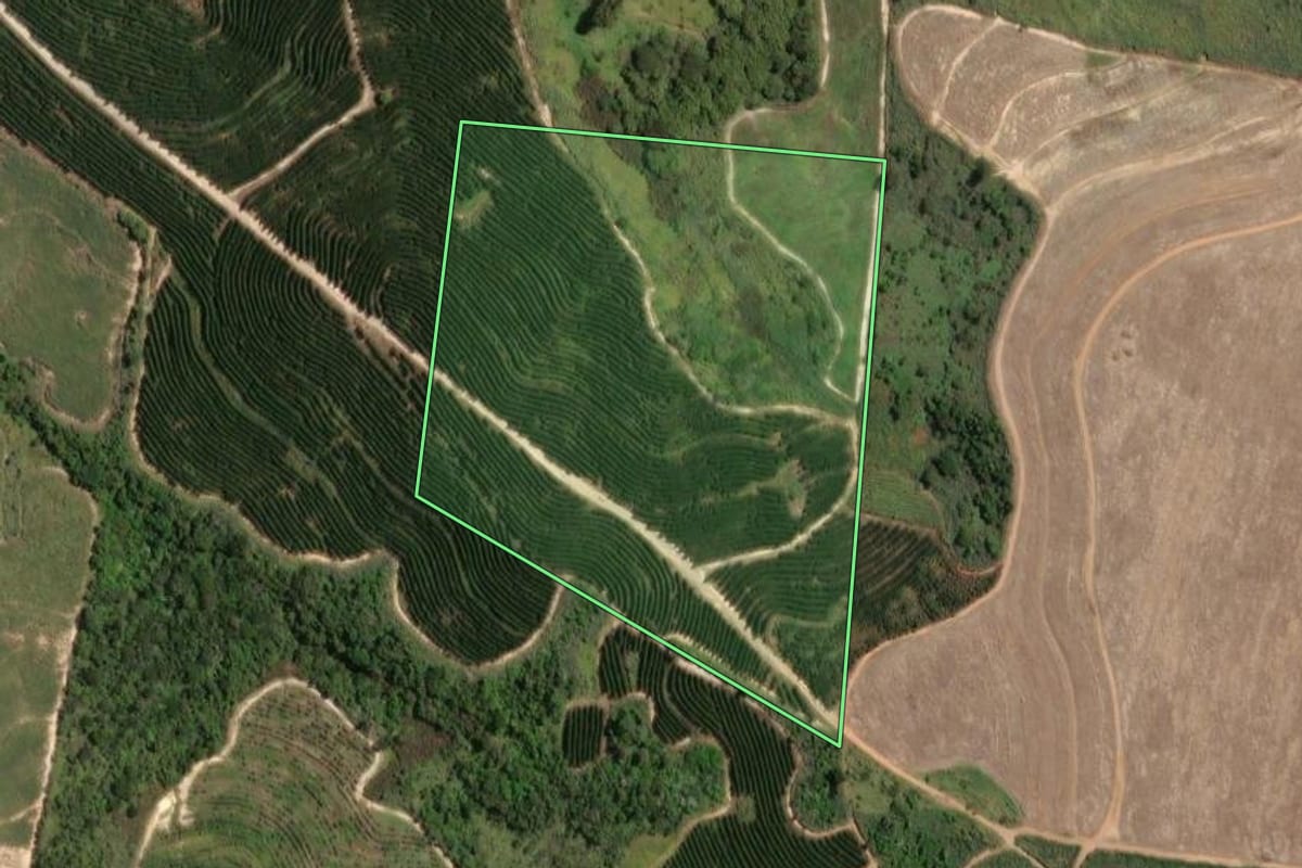 Imagem de satélite do imóvel rural em Santa Bárbara d'Oeste (SP), com o contorno declarado no CAR desenhado por cima.