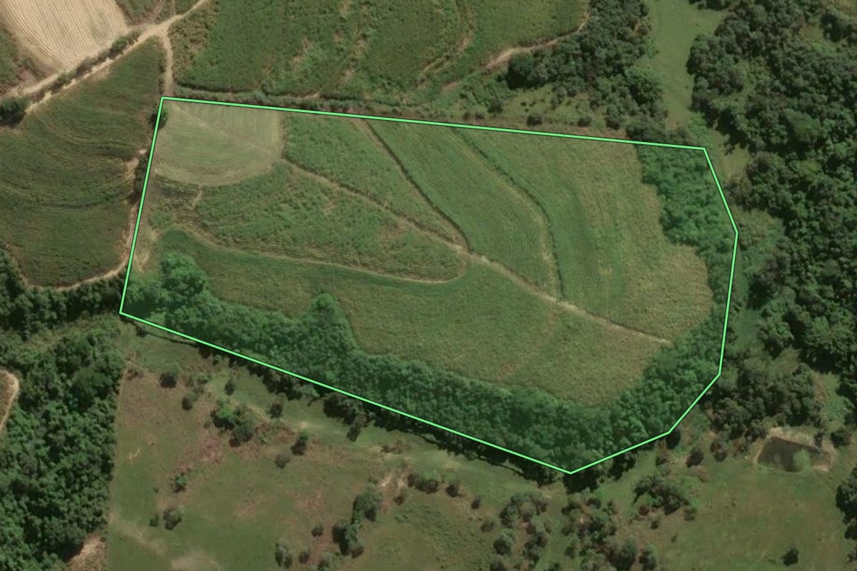 Imagem de satélite do imóvel rural em Santa Bárbara d'Oeste (SP), com o contorno declarado no CAR desenhado por cima.