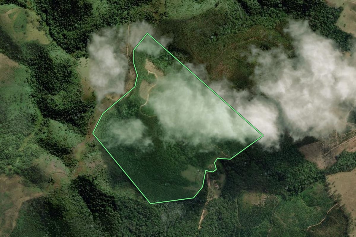 Imagem de satélite do imóvel rural em Santa Branca (SP), com o contorno declarado no CAR desenhado por cima.