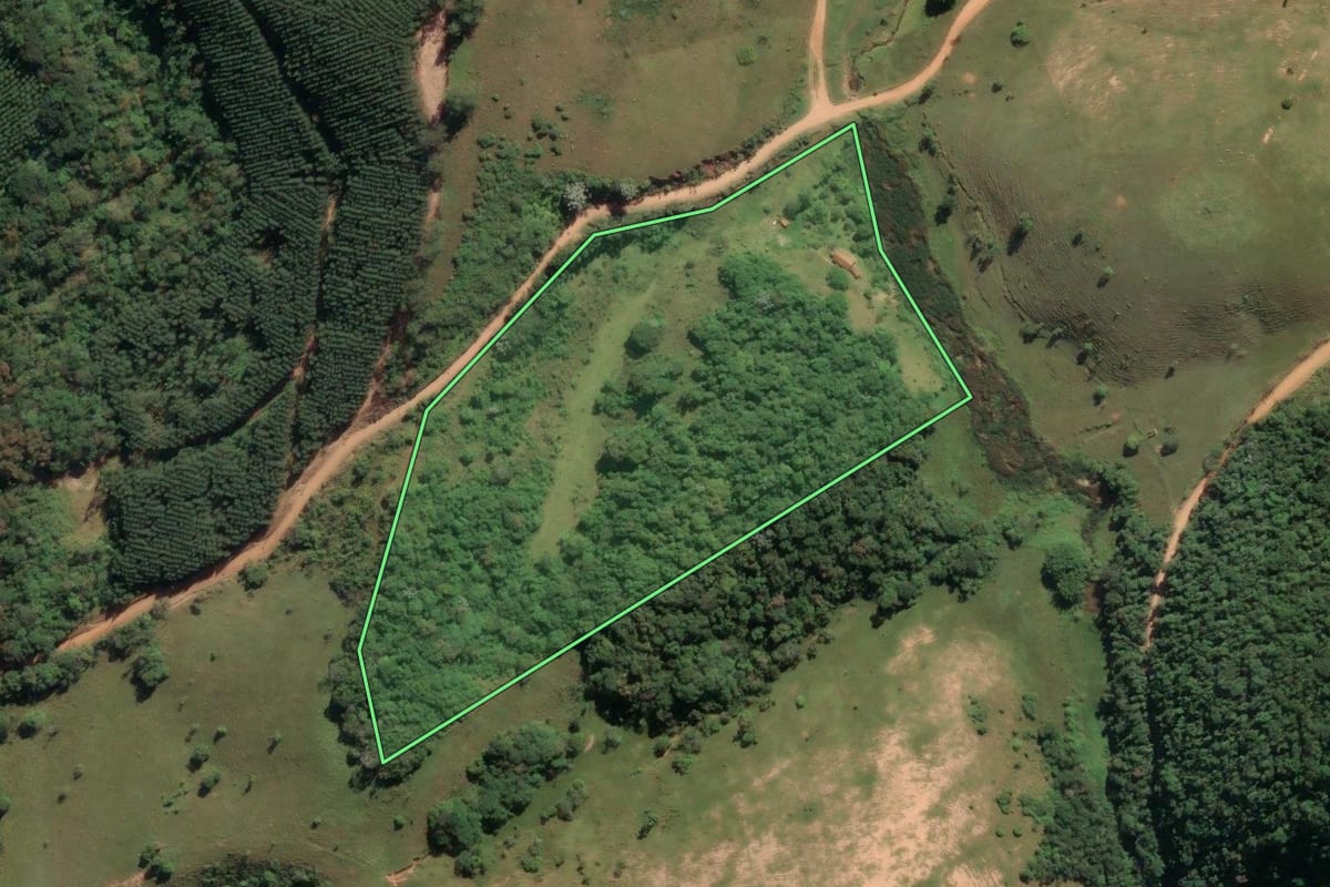 Imagem de satélite do imóvel rural em Santa Branca (SP), com o contorno declarado no CAR desenhado por cima.