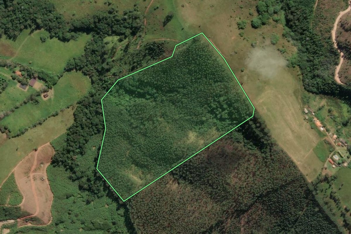 Imagem de satélite do imóvel rural em Santa Branca (SP), com o contorno declarado no CAR desenhado por cima.