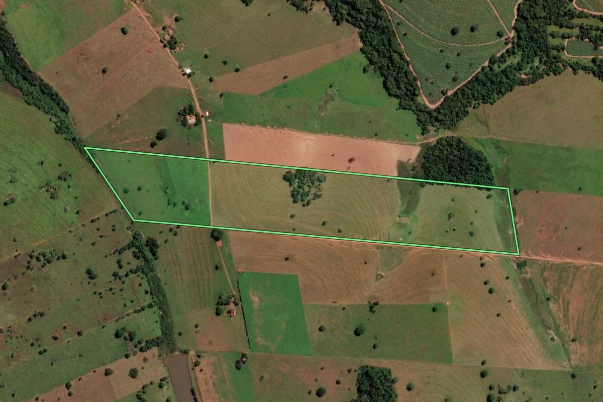 Imagem de satélite do imóvel rural em Santa Clara d'Oeste (SP), com o contorno declarado no CAR desenhado por cima.