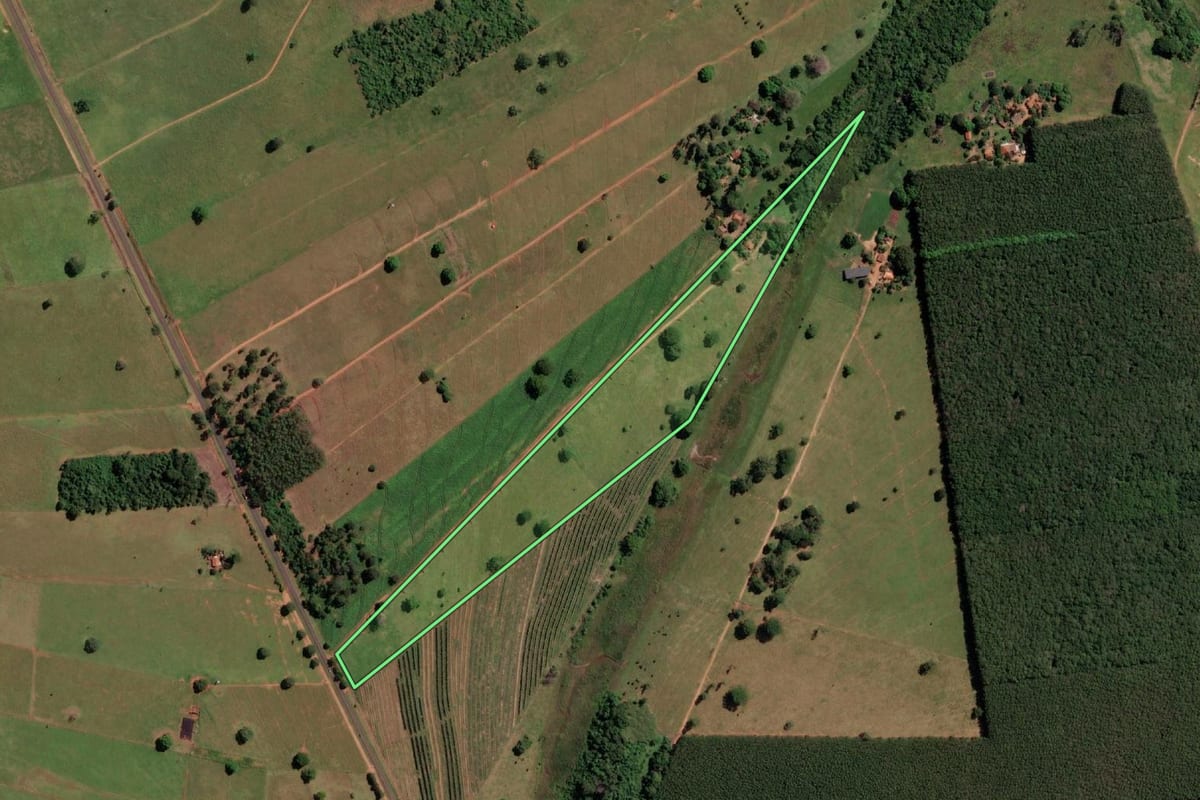 Imagem de satélite do imóvel rural em Santa Clara d'Oeste (SP), com o contorno declarado no CAR desenhado por cima.