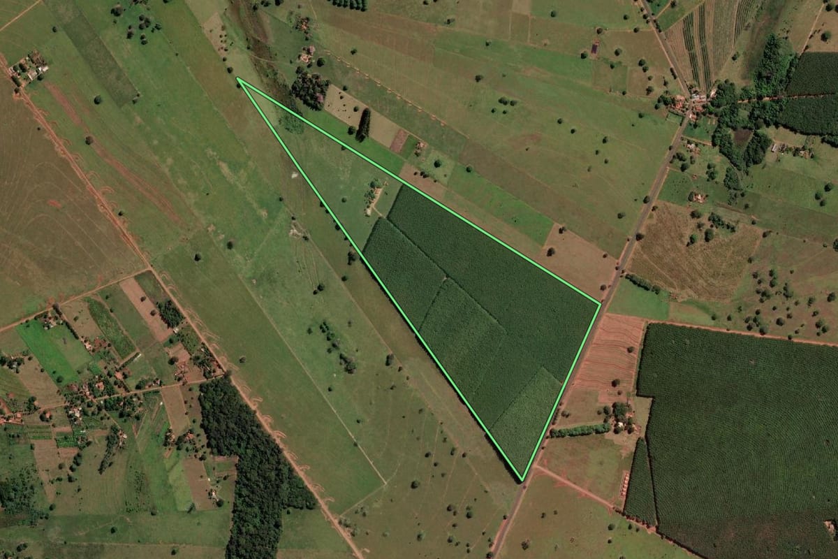 Imagem de satélite do imóvel rural em Santa Clara d'Oeste (SP), com o contorno declarado no CAR desenhado por cima.