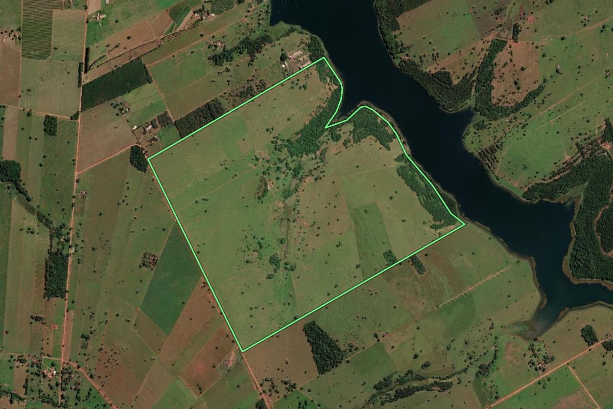 Imagem de satélite do imóvel rural em Santa Clara d'Oeste (SP), com o contorno declarado no CAR desenhado por cima.
