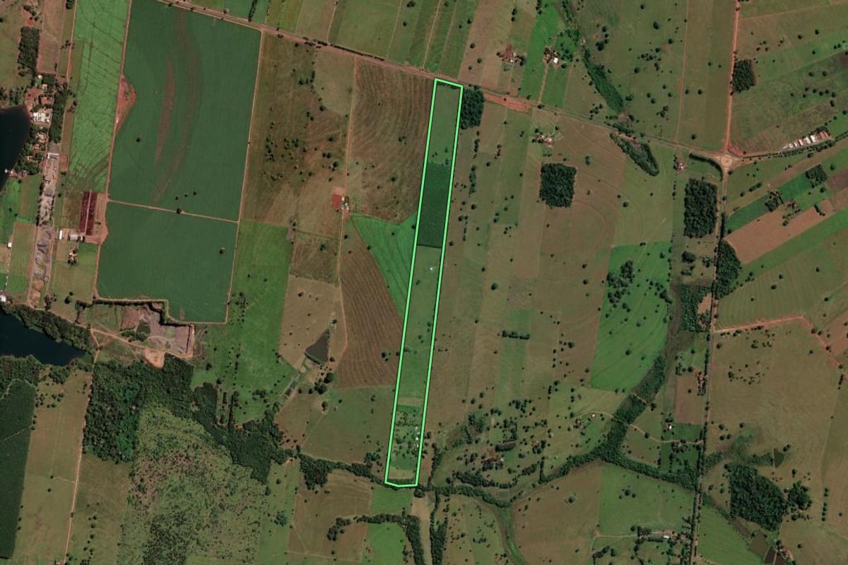 Imagem de satélite do imóvel rural em Santa Clara d'Oeste (SP), com o contorno declarado no CAR desenhado por cima.