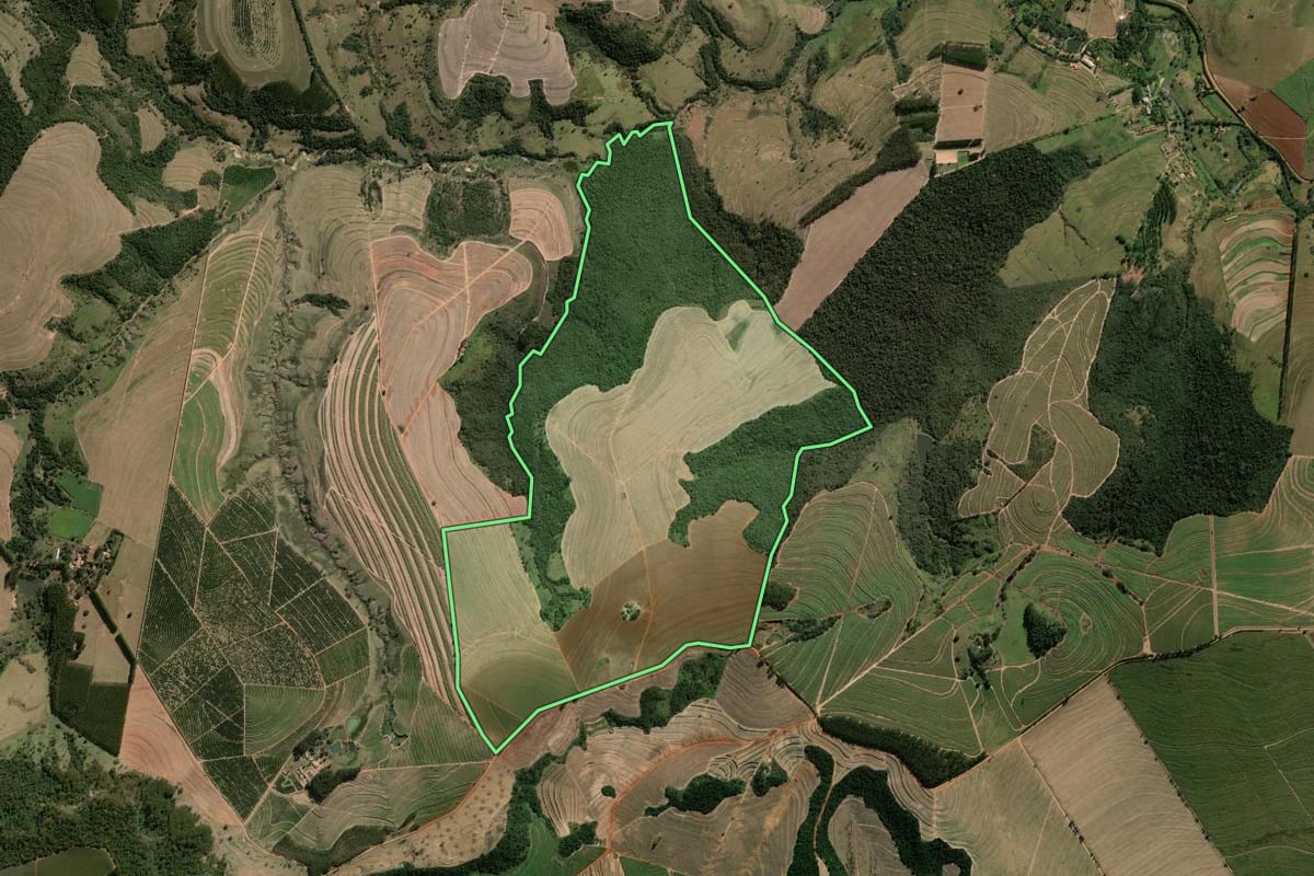 Imagem de satélite do imóvel rural em Santa Cruz da Conceição (SP), com o contorno declarado no CAR desenhado por cima.