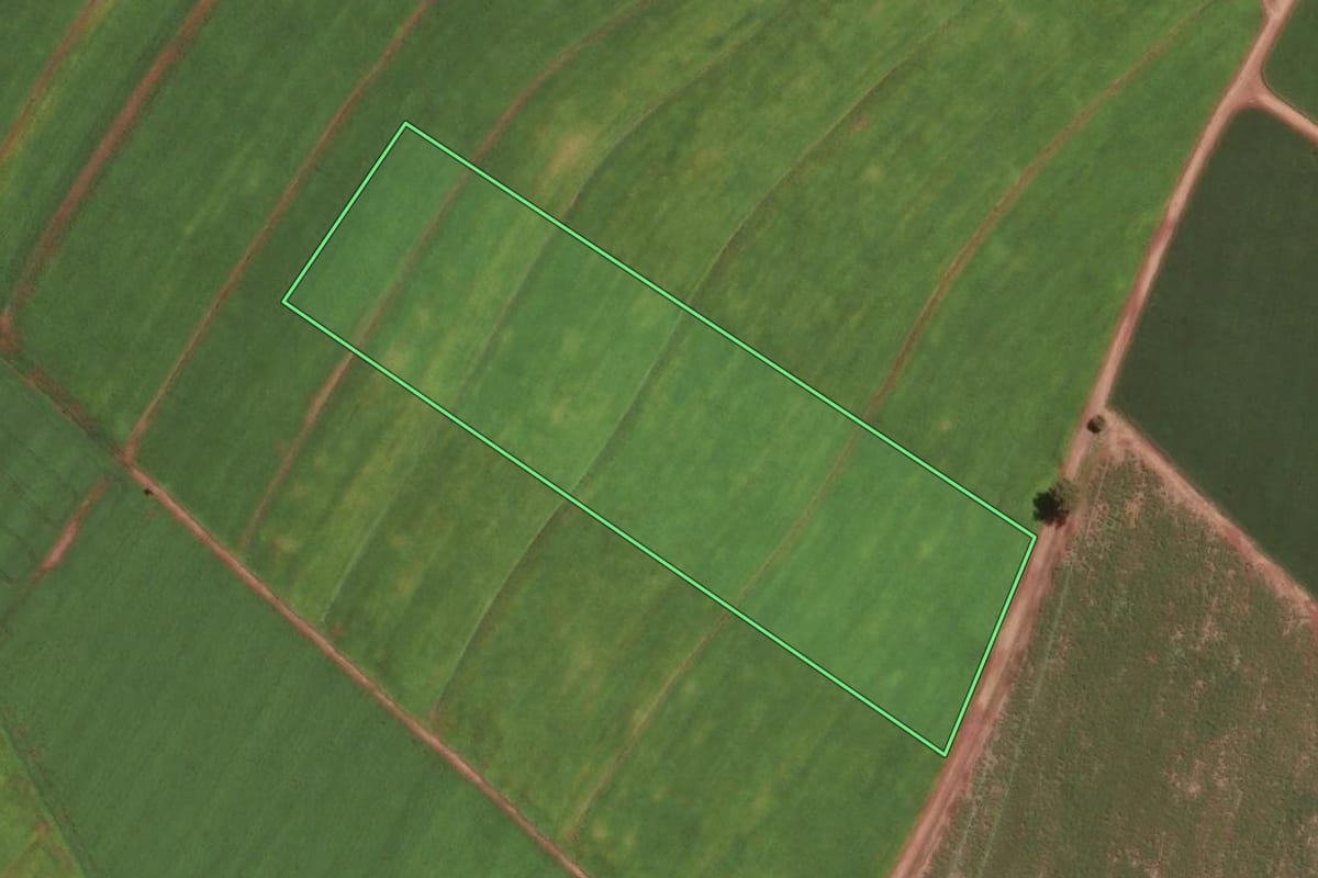 Imagem de satélite do imóvel rural em Santa Cruz da Conceição (SP), com o contorno declarado no CAR desenhado por cima.