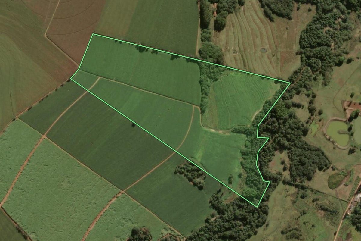 Imagem de satélite do imóvel rural em Santa Cruz da Conceição (SP), com o contorno declarado no CAR desenhado por cima.