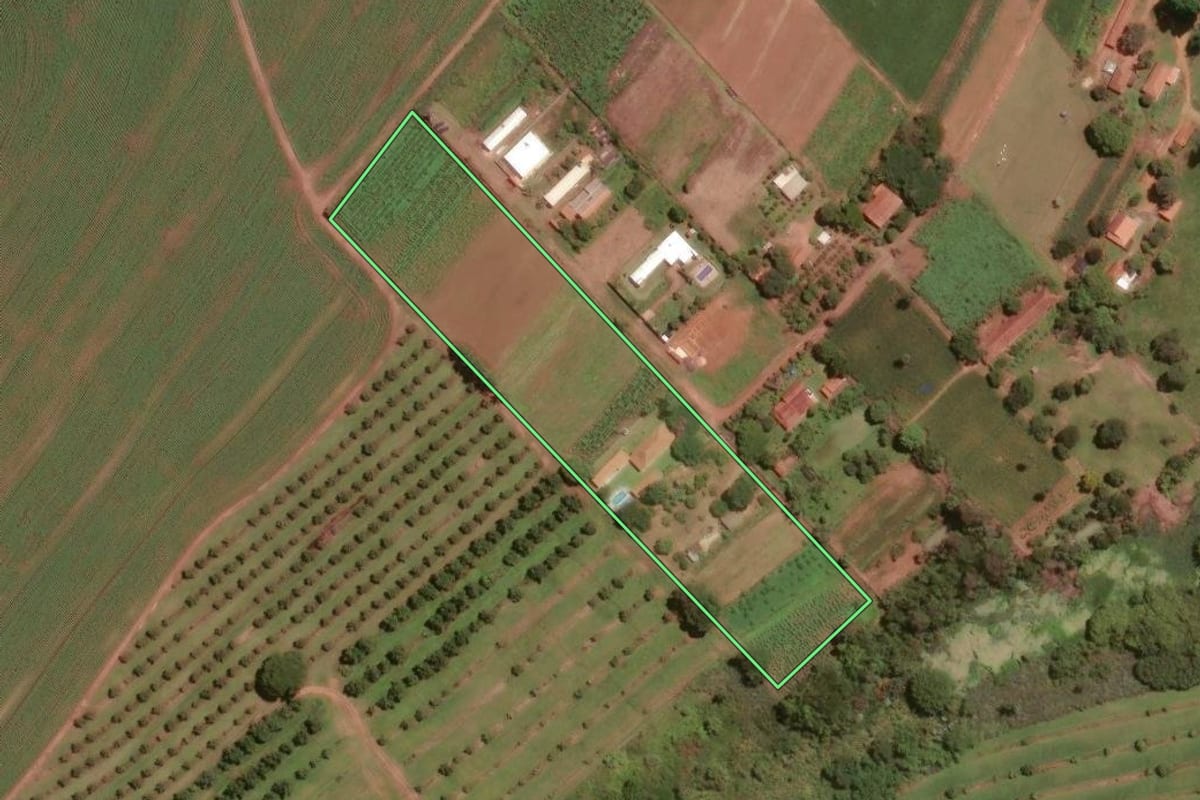 Imagem de satélite do imóvel rural em Santa Cruz da Conceição (SP), com o contorno declarado no CAR desenhado por cima.