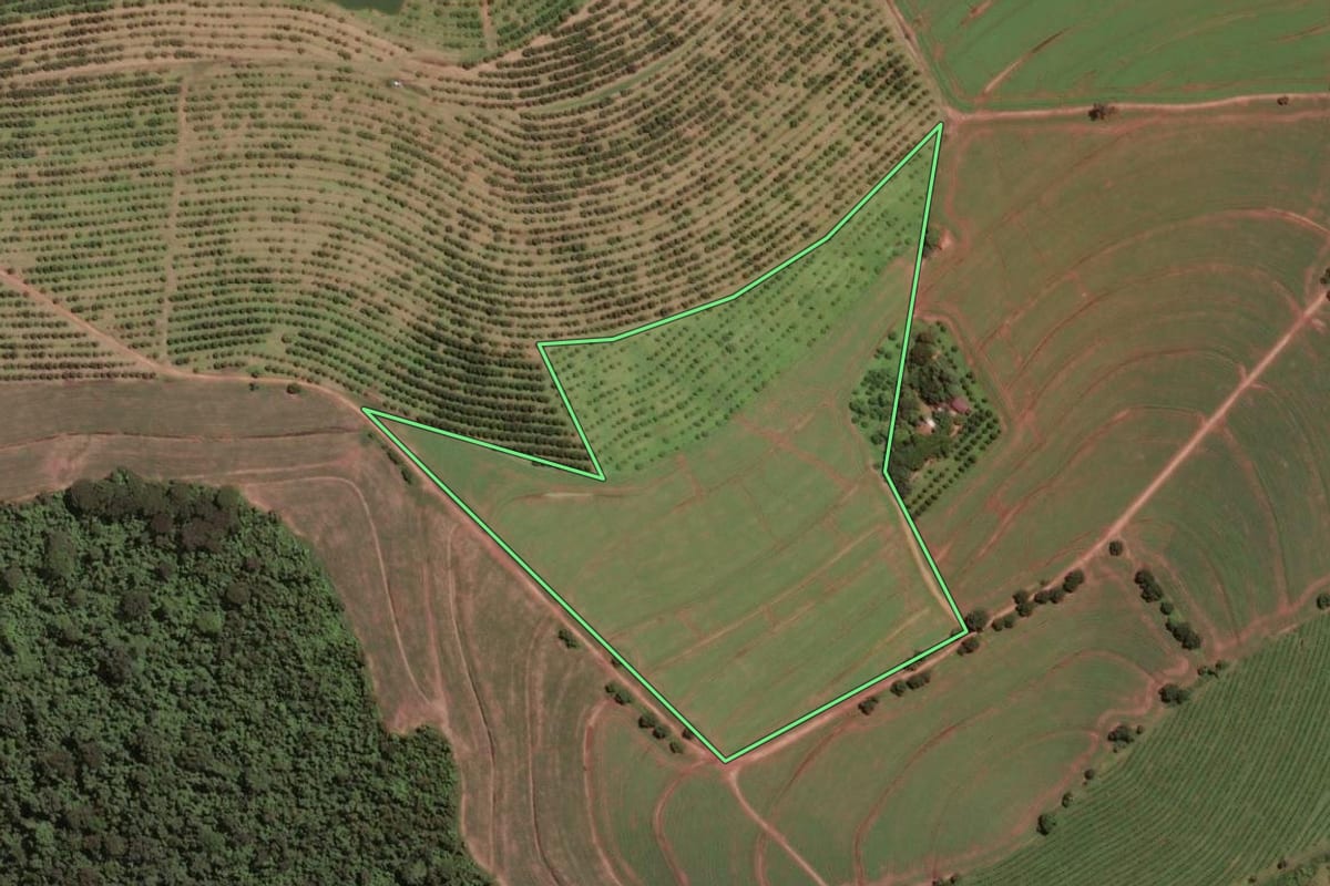 Imagem de satélite do imóvel rural em Santa Cruz da Conceição (SP), com o contorno declarado no CAR desenhado por cima.
