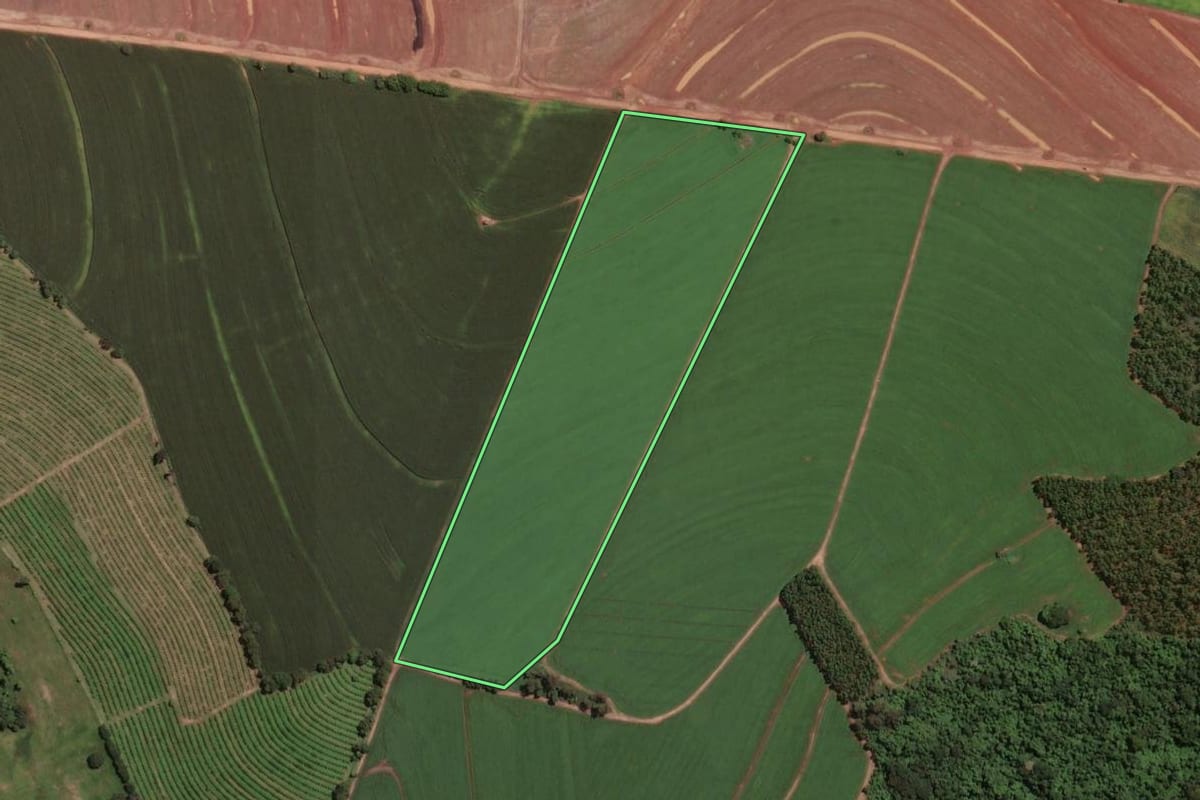 Imagem de satélite do imóvel rural em Santa Cruz da Conceição (SP), com o contorno declarado no CAR desenhado por cima.