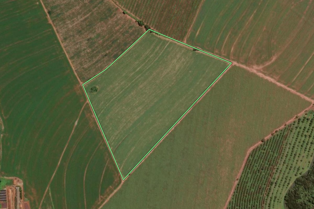 Imagem de satélite do imóvel rural em Santa Cruz da Conceição (SP), com o contorno declarado no CAR desenhado por cima.