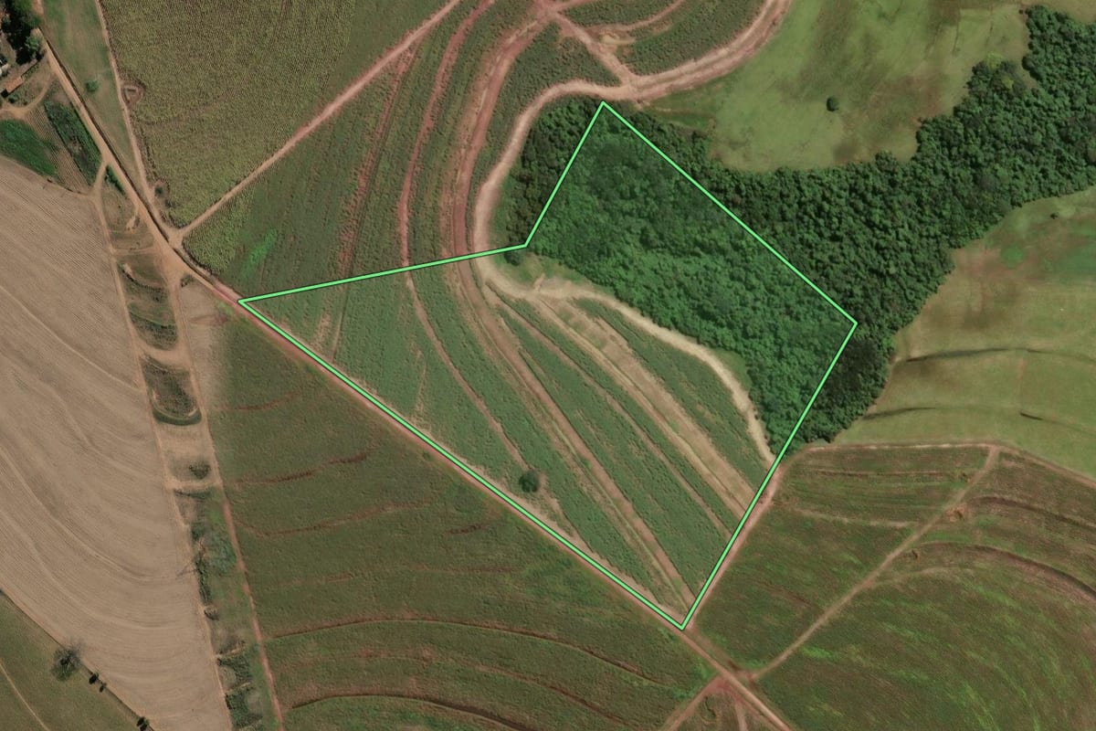 Imagem de satélite do imóvel rural em Santa Cruz da Conceição (SP), com o contorno declarado no CAR desenhado por cima.