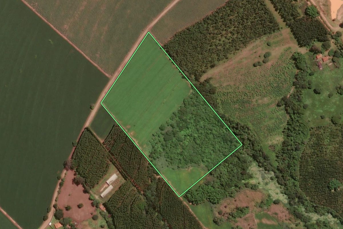 Imagem de satélite do imóvel rural em Santa Cruz da Conceição (SP), com o contorno declarado no CAR desenhado por cima.