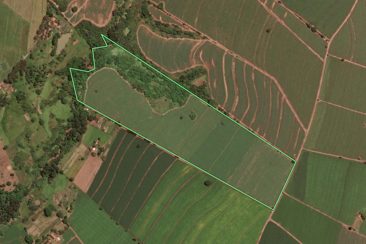 Imagem de satélite do imóvel rural em Santa Cruz da Conceição (SP), com o contorno declarado no CAR desenhado por cima.