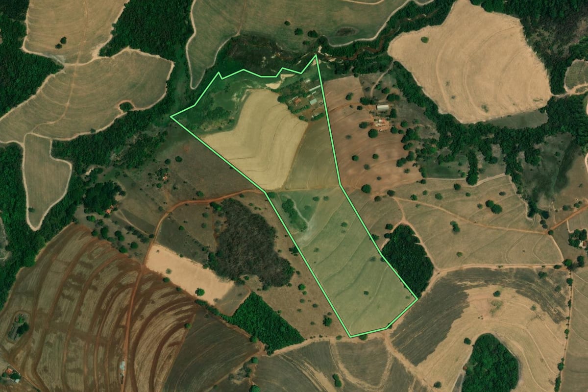 Imagem de satélite do imóvel rural em Santa Cruz da Esperança (SP), com o contorno declarado no CAR desenhado por cima.