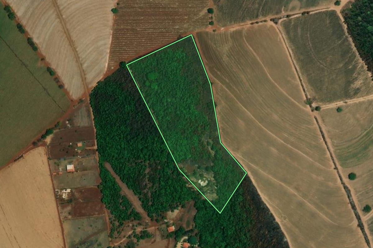 Imagem de satélite do imóvel rural em Santa Cruz da Esperança (SP), com o contorno declarado no CAR desenhado por cima.