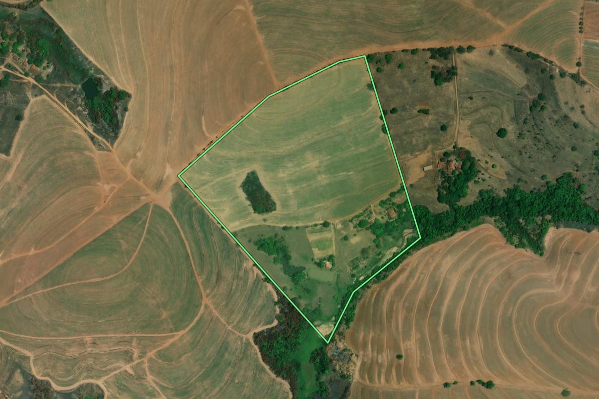 Imagem de satélite do imóvel rural em Santa Cruz da Esperança (SP), com o contorno declarado no CAR desenhado por cima.