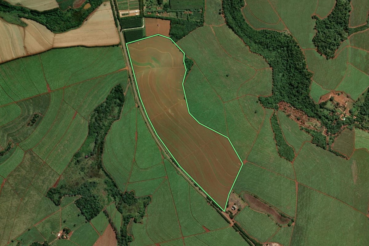 Imagem de satélite do imóvel rural em Santa Cruz das Palmeiras (SP), com o contorno declarado no CAR desenhado por cima.