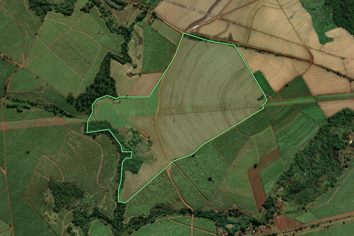 Imagem de satélite do imóvel rural em Santa Cruz das Palmeiras (SP), com o contorno declarado no CAR desenhado por cima.