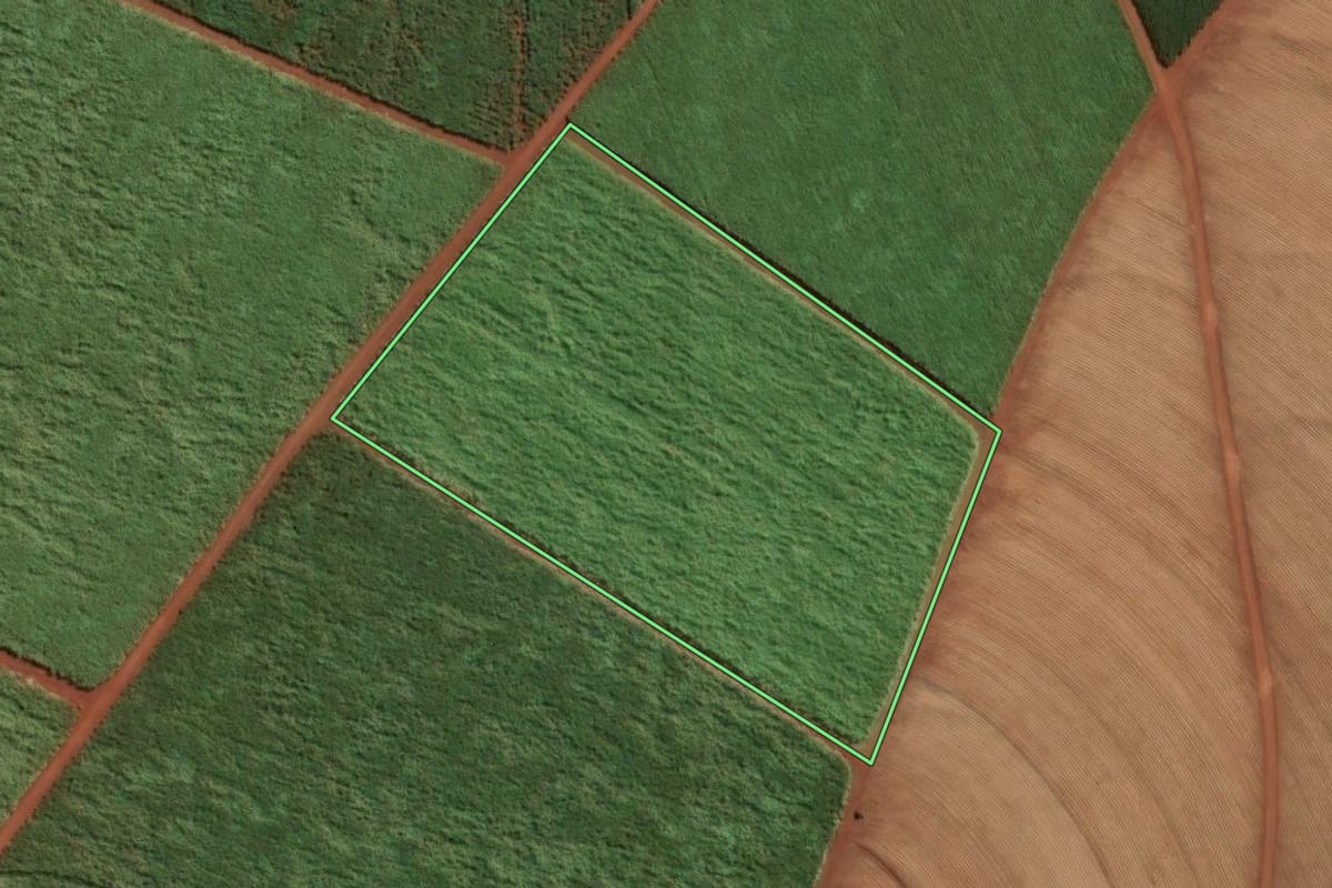 Imagem de satélite do imóvel rural em Santa Cruz das Palmeiras (SP), com o contorno declarado no CAR desenhado por cima.