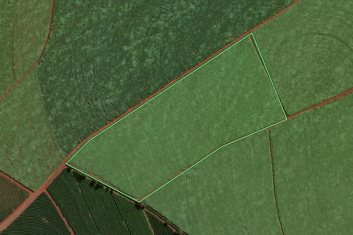 Imagem de satélite do imóvel rural em Santa Cruz das Palmeiras (SP), com o contorno declarado no CAR desenhado por cima.