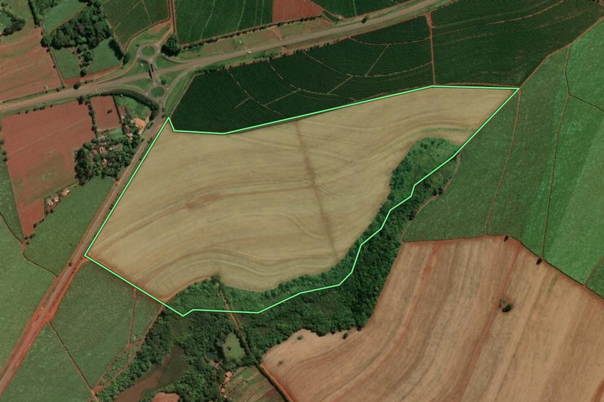 Imagem de satélite do imóvel rural em Santa Cruz das Palmeiras (SP), com o contorno declarado no CAR desenhado por cima.