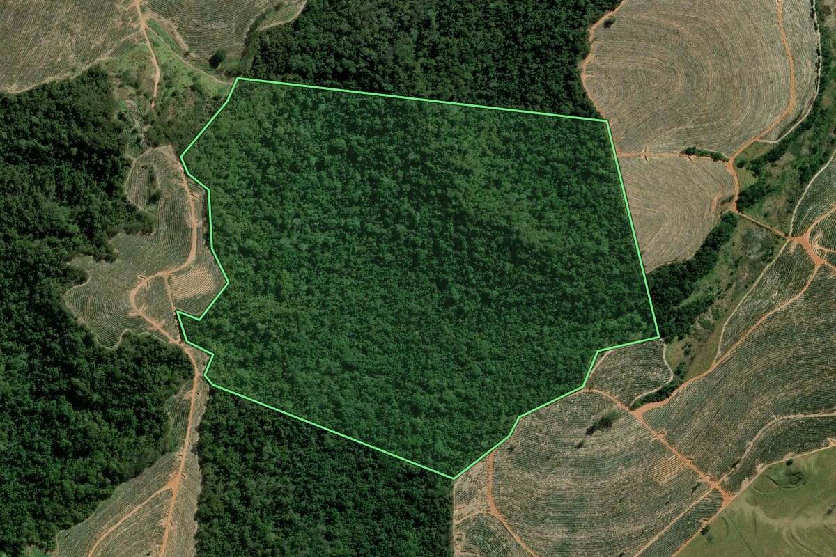 Imagem de satélite do imóvel rural em Santa Cruz do Rio Pardo (SP), com o contorno declarado no CAR desenhado por cima.
