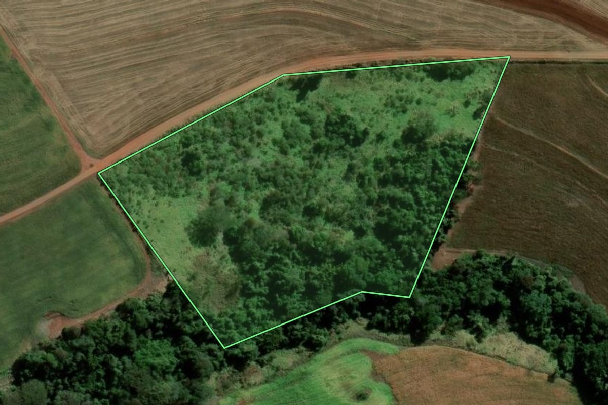 Imagem de satélite do imóvel rural em Santa Cruz do Rio Pardo (SP), com o contorno declarado no CAR desenhado por cima.