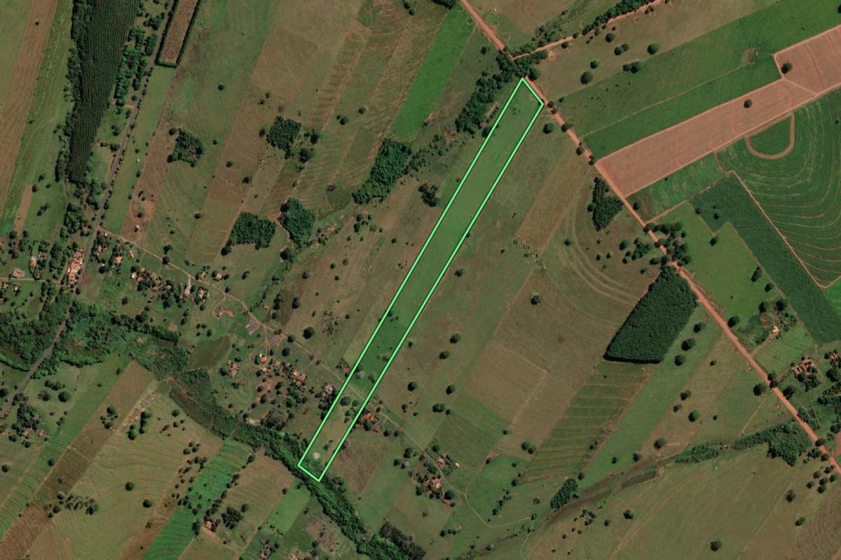 Imagem de satélite do imóvel rural em Santa Fé do Sul (SP), com o contorno declarado no CAR desenhado por cima.
