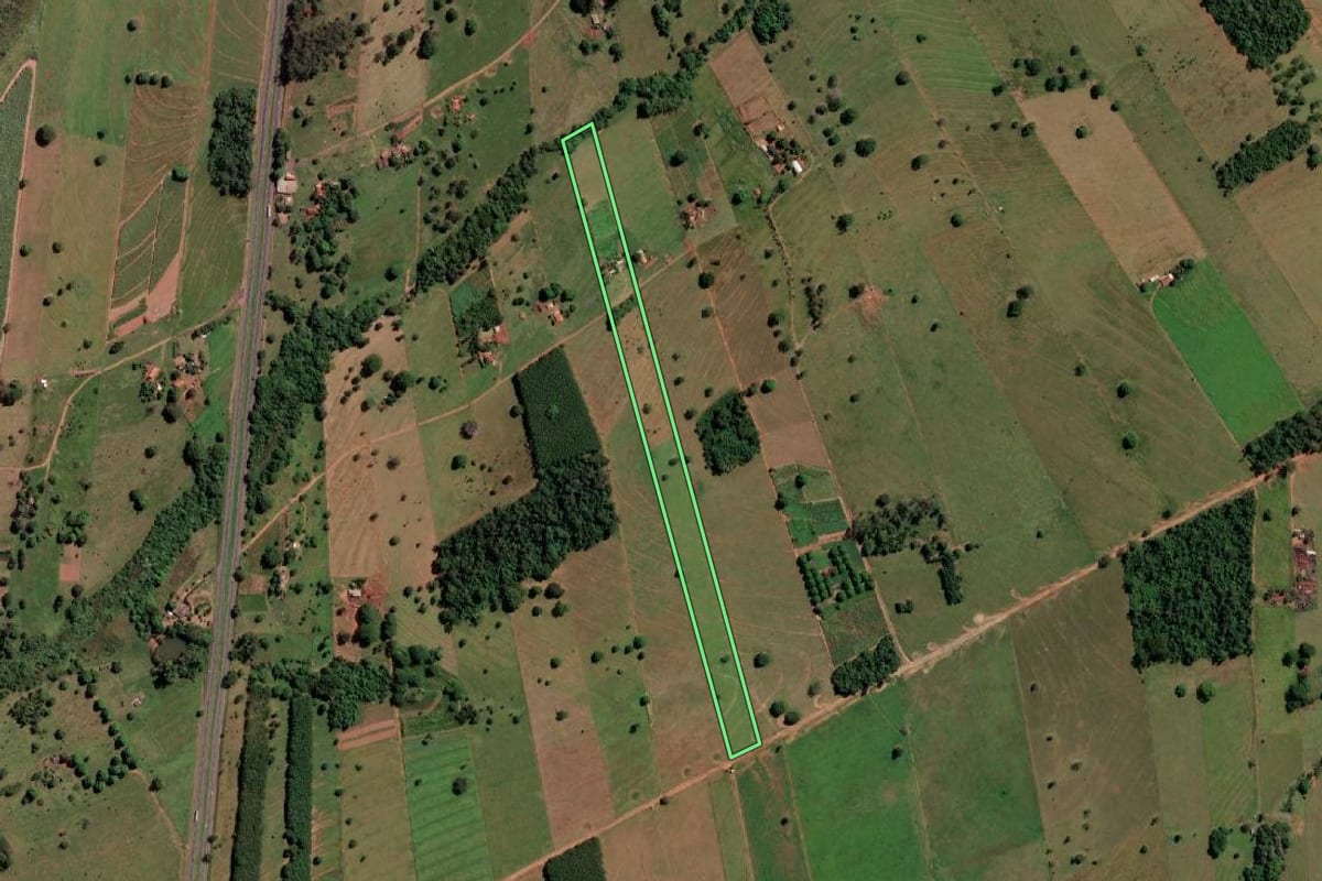 Imagem de satélite do imóvel rural em Santa Fé do Sul (SP), com o contorno declarado no CAR desenhado por cima.