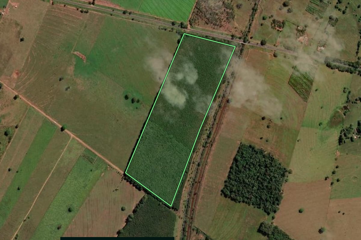 Imagem de satélite do imóvel rural em Santa Fé do Sul (SP), com o contorno declarado no CAR desenhado por cima.
